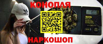 стафф Бердск