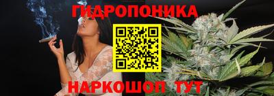 винт Ачхой-Мартан