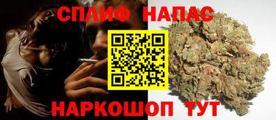 стафф Бердск